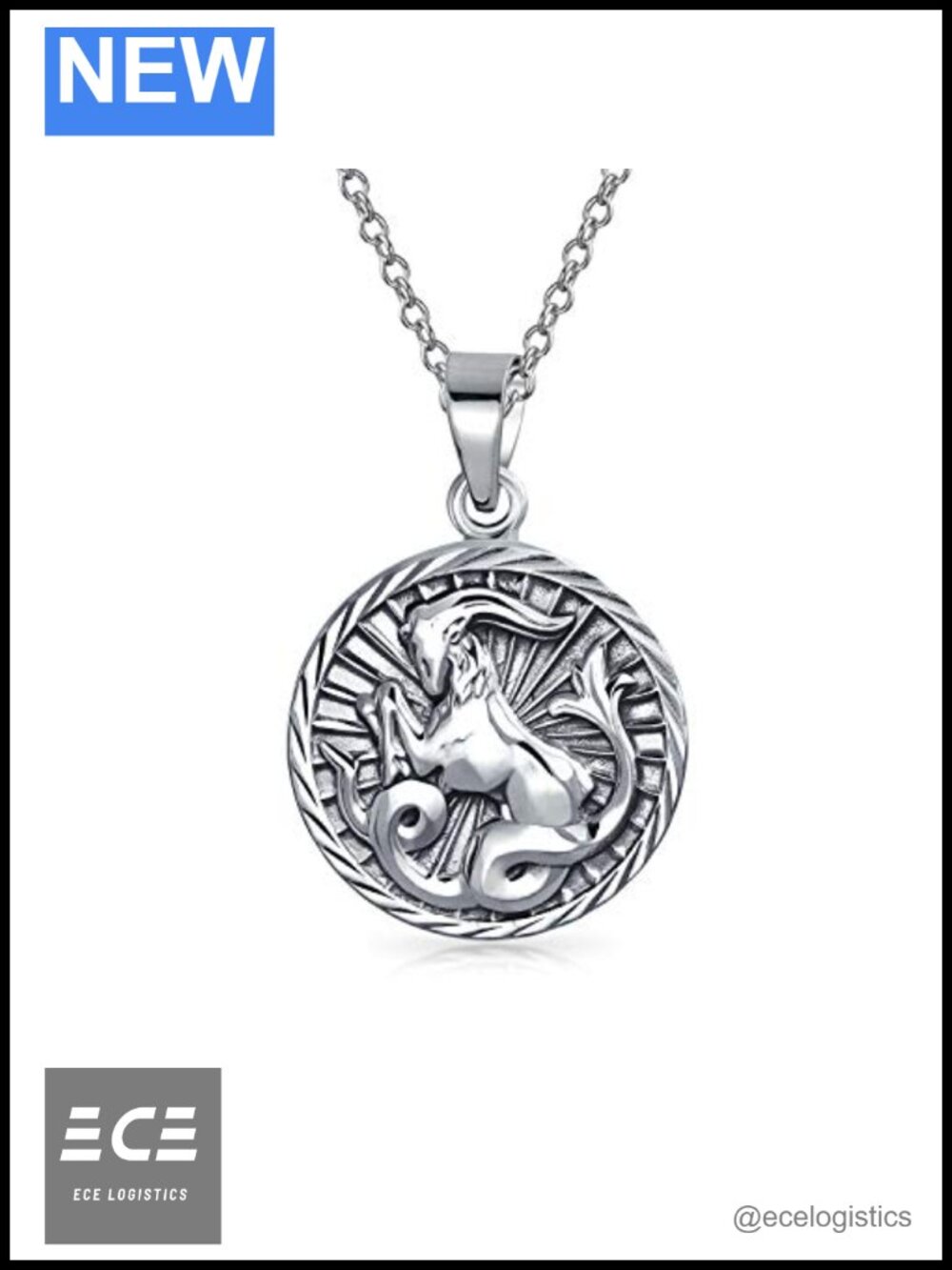 Zodiac Pendant Necklace .925 Sterling Silver Round Capricorn 18in Chain